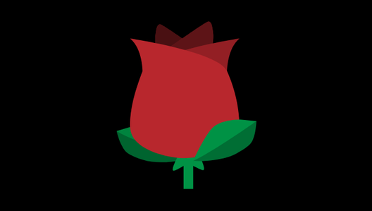 Dzień Kobiet