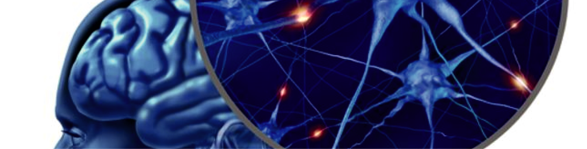 IV Neurobiologiczna Konferencja Naukowa: Neurobiologiczne uwarunkowania diagnozy i terapii